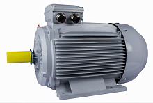 Электродвигатель 315 S6-SDN-Б1-S12-IE2 IM B3 90/1000 Китай (ESQ PR) | код 01.05.02.222805 | ESQ