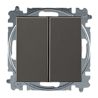 Basic 55 - Выключатель двухклавишный (шато-черный, блистер) | код 1012-0-2177-00.00-01.01-01.00 | ABB