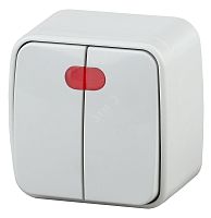 Выключатель двойной с подсветкой, 10A-250В, ОУ, Polo, белый,3-105-01 | код Б0036096 | ЭРА