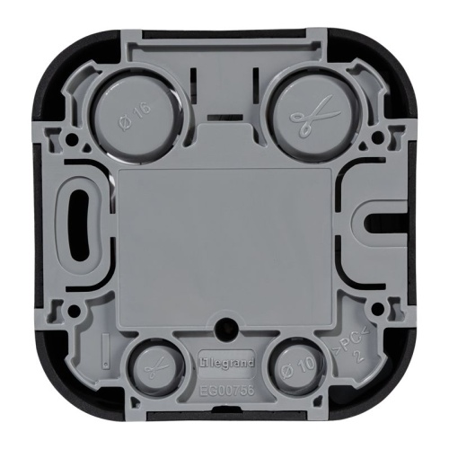 Розетка компьютерная RJ45 категория 5e UTP Legrand Quteo IP20 накладная чёрная матовая | код 782480 | Legrand фото 2