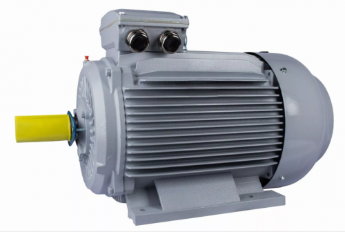 Электродвигатель 315 LA6-SDN-Б1-S32-IE2 IM B3 110/1000 Китай (ESQ PR) | код 01.05.223423 | ESQ