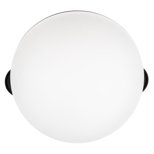 Светильник трековый светодиодный низковольтный ДПО16 3010 10W 4000K 100° черный IP20 Jazzway | код 5056732 | JazzWay фото 10