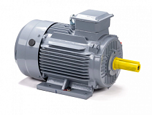 Электродвигатель 160 S4 GST-Б1-S12-IE2 IM 2001 15/1500 Китай (ESQ PR) | код 01.01.223774 | ESQ