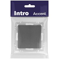 Выключатель Intro Accent 6-104-07 двойной, 10А-250В, IP20, СУ, AL/CU, графит | код Б0063493 | ЭРА