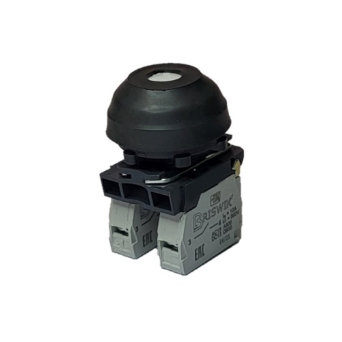 Выключатель Briswik КЕ 081/2м белый 1но+1нз Цилиндр с наружным протектором IP66 УХЛ2 10А | код aZ-DB-3Ai-0821 | Briswik