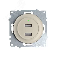 Розетка USB двойная, с подсветкой, цвет бежевый | код 2260090 | OneKeyElectro