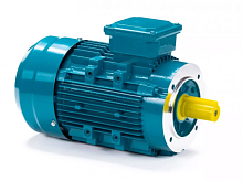 Электродвигатель 80 B2-SDN-DS IM B14 1.1/3000 Китай (ESQ) | код 01.05.223570 | ESQ