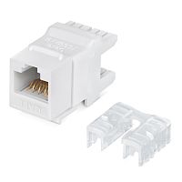 Модуль Keystone Jack RJ-45(8P8C), UTP неэкранированный, CAT 6, тип 180 градусов, белый REXANT PRO | код 02-0250 | REXANT