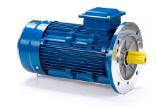 Электродвигатель 63 B2-SDN- IM B5 0.25/3000 Китай (ESQ) | код 01.05.222488 | ESQ