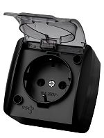 Розетка 2П+3 открытой установки IP54 16А с прозрачной крышкой графит Селигер TDM | код SQ1818-0307 | TDM