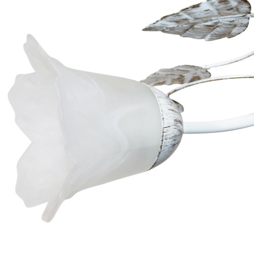 Светильник НПБ-01-3х60-111 Глория 131 белый/золотоИУ | код 1005402940 | Элетех фото 3