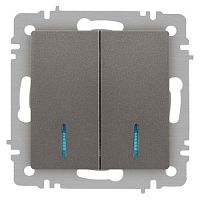 Выключатель 2-кл. СП Accent 6-105-09 10А IP20 250В с подсветкой AL/CU титан Intro Б0063525