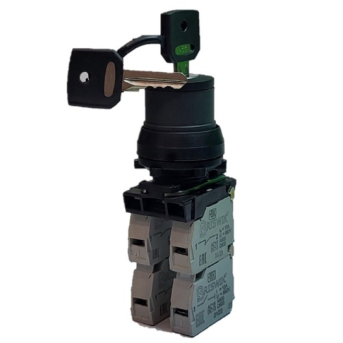 Переключатель Briswik ПЕ 182/2м черный 3но+1нз Ключ с фикс 3-поз , во вкл. сост. не вынимается IP40 УХЛ3 10А | код aZ-YG-0Ai-0142 | Briswik