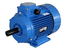 Электродвигатель 200 L8 660/1140V, PBExdI Mb, класс изоляции Н, РТС (статор), подшип. SKF, IM 1001 22/750 Орлан (АИМУР) | код 01.02.01.000148 | ESQ