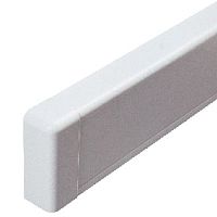 Заглушка для плинтусного короба 100х40 мм белый(розница, 1 шт в пакете) | код AIR10045R | DKC