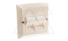 Адаптер для креплений информационных розеток в стену 2XRJ45, с пластиковым суппортом под винт | код 760301 | Toten