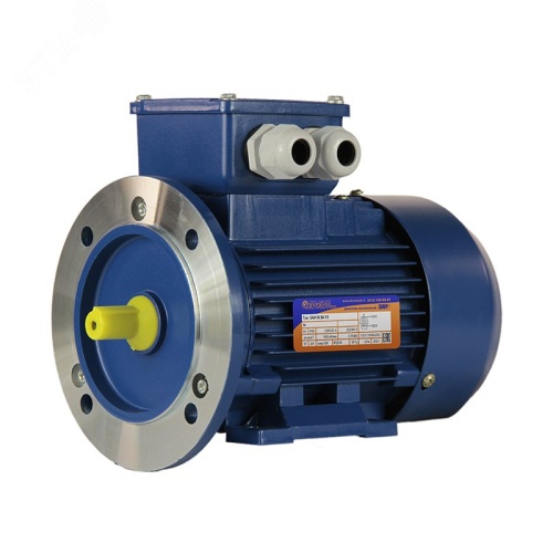 Электродвигатель 5АИ 56 В4 0.18/1500 IM 2081 | код 01.01.213518 | Элком