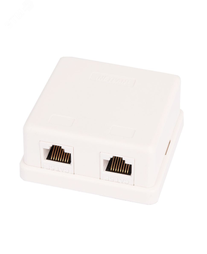 Розетка настенная 2 порта Кат.5e RJ45/8P8C неэкранированная белая 10шт. | код EC-UWO-2-UD2-WT-10 | NETLAN