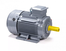 Электродвигатель 132 M6 GST-Б1-S12-IE2 IM 1081 7.6/1000 Китай (ESQ PR) | код 01.01.223769 | ESQ