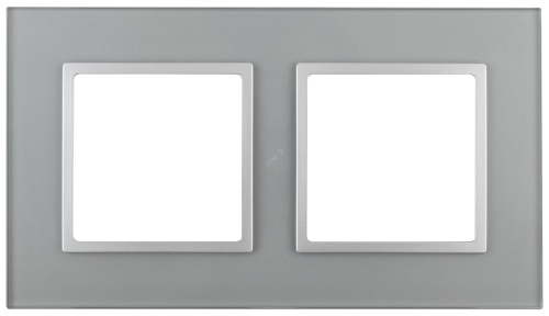 Рамка на 2 поста, стекло, Эра Elegance, алюминий+алюм, 14-5102-03 | код Б0034490 | ЭРА