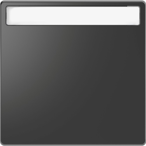 MERTEN D-Life КЛАВИША 1-ная с полем д/надписи, АНТРАЦИТ | код MTN3360-6034 | Systeme Electric