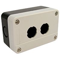 Кнопочный пост RUICHI GB2-B02, 2-х местный, IP40/IP65, 10 А, 68х105х51 мм, открытой установки, черный/серый | код 66314 | Ruichi