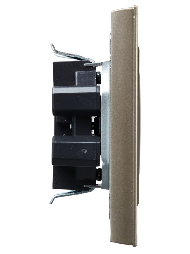 BRITE Роз. 2-я без з/к с з/ш 10А в сб. РСш12-2-БрШ шамп. IEK | код BR-R23-10-K37-F | IEK фото 6