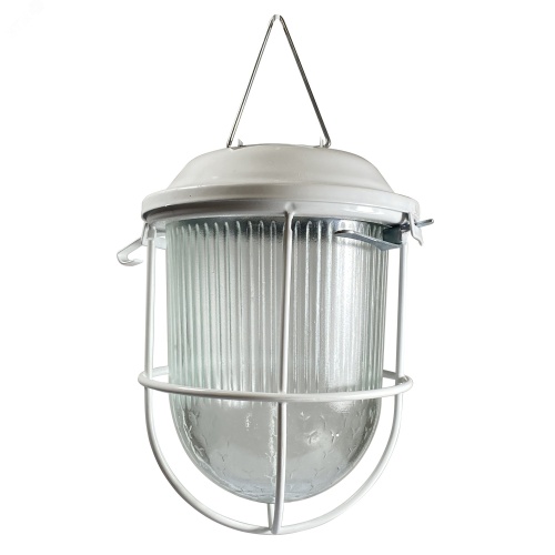 Светильник ДСП 01-09-002 IP54 Желудь LED 220В с решеткой | код 1030450140 | Элетех