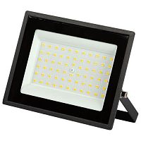 Прожектор светодиодный LPR-023-0-30K-050 50Вт 3000К 4000Лм IP65 уличный Эра Б0052859