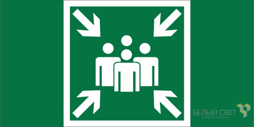 Знак безопасности BL-3015B.E21 Пункт (место) сбора Белый свет a19652