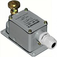 Выключатель концевой ВК-300-БР-11-67У2-25, с сальником, рычаг с роликом, ступень 2, ход вправо и влево без самовозврата, 16А, 1з+1р, IP67 | код A8020-80086241 | РЕЛЕ И АВТОМАТИКА