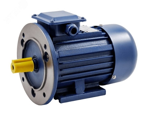 Электродвигатель трехфазный БЭЗ АИР 132S6 IM2081 (5,5 кВт/1000 об/мин) | код 64097 | ТМ БЭЗ
