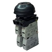 Выключатель Briswik КЕ 082/4м черный 1но+3нз Цилиндр с наружным протектором IP66 УХЛ2 10А | код aZ-DB-3Ai-0144 | Briswik