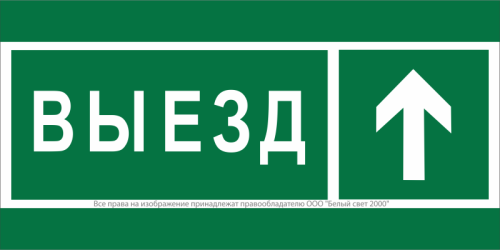 Знак безопасности BL-3517.N06''Направление к воротам выезда прямо'' | код a20076 | Белый Свет