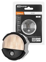 Ночник агат, Байкал TDM | код SQ1819-0248 | TDM