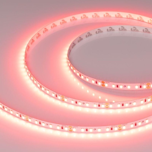 Лента RT-A120-8мм 24V Scarlet (9.6 W/m, IP20, 2835, 5м) (-) | код 43383 | Arlight