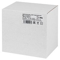 Светильник светодиодный ДБУ 8Вт 3000K IP44 07-8-004 Дели 4 белый 4 гранный | код Б0064315 | ЭРА