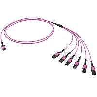 Оптическая разветвительная сборка 12ОВ 50/125 OM4, 1xMTP PRO(12)/6хLC Duplex Uniboot, 2м (предустановленная конфигурация: MTP Male | код RNFML12402 | DKC