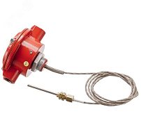 Извещатель пожарный тепловой взрывозащищенный программируемый, без кабельных вводов | код ИП101-07вт-H2 (200-250) | Эридан