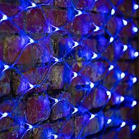 Гирлянда светодиодная "Сеть" 2х1.5м 288LED син. 24Вт 230В IP65 свечение с динамикой провод ПВХ прозр. Neon-Night 215-043