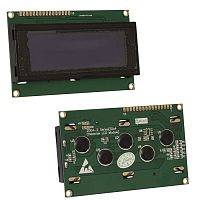 ЖК индикатор символьный RUICHI RH2004A-TNI, язык Русский - Английский | код 113058 | Ruichi