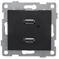 Розетка USB 2-м СП Bravo механизм графит | код С10USB2-010 | GUSI
