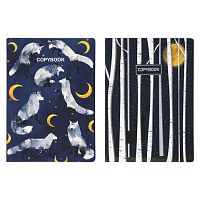 Тетради 60 л. в точку обложка SoftTouch, НАБОР 2 шт., бежевая бумага 70 г/м2, сшивка, B5 (179х250 мм), НОЧЬ, BRAUBERG, 403829 | код 403829 | BRAUBERG