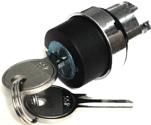 КПЕ 11КС IP40 LAY4-BG2.BR Головка для переключателя 22 мм 2 позиции с ключем с фиксацией металлическая | код LAY4-BG2.BR | Briswik