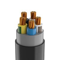 Кабель ВВГнг(А)-LSLTx 5х50 МК (N PE) 0.66кВ
