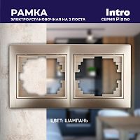 Рамка на 2 поста гор., СУ, Plano, шампань, 1-502-04 | код Б0030095 | ЭРА