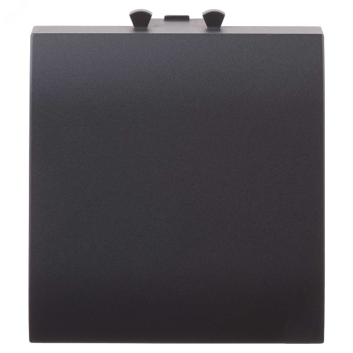 Avanti Вывод кабеля модульный , Черный матовый, 2 модуля | код 4412982 | DKC