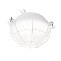 Светильник ЛОН НПП03-100-003 1х100Вт E27 IP65 Ардатов 1003100003