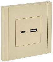 FORTE&PIANO Роз. USB A+C 3,1А FP450 ван. IEK | код FP-U22-D31-K10 | IEK