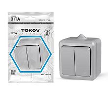 Выключатель 2-кл. ОП Dita IP54 10А 250В сер. | код. TKL-DT-V2-C06-IP54 | TOKOV ELECTRIC